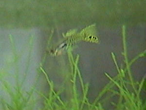 200_00009.jpg
