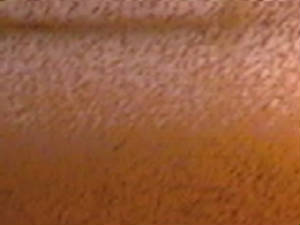 300_00315.jpg